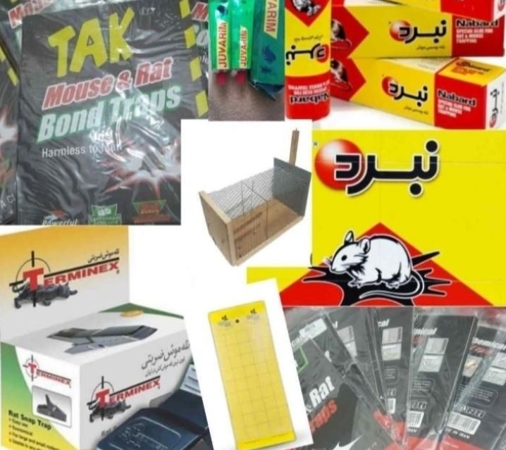 چسب و تله موش و گربه وحیوانات موذی