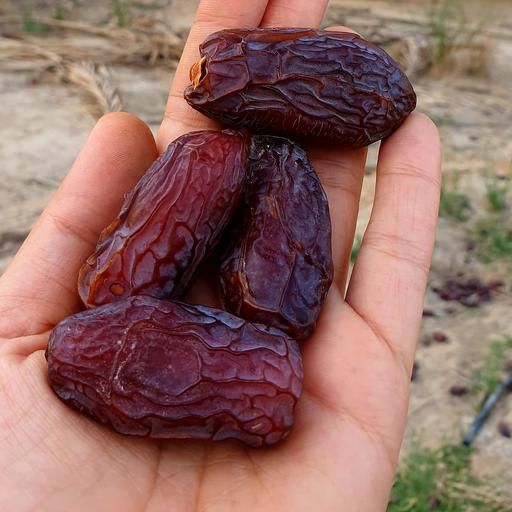 خرمای اصیل ایرانی