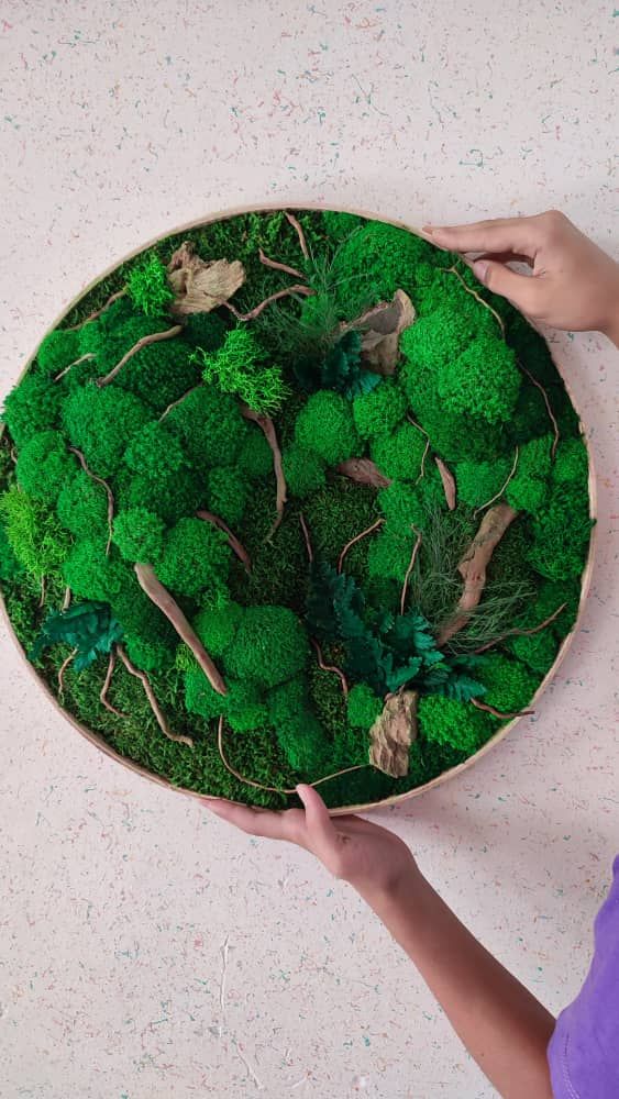 تابلو خزه ای بدون نیاز به آب و نگهداری