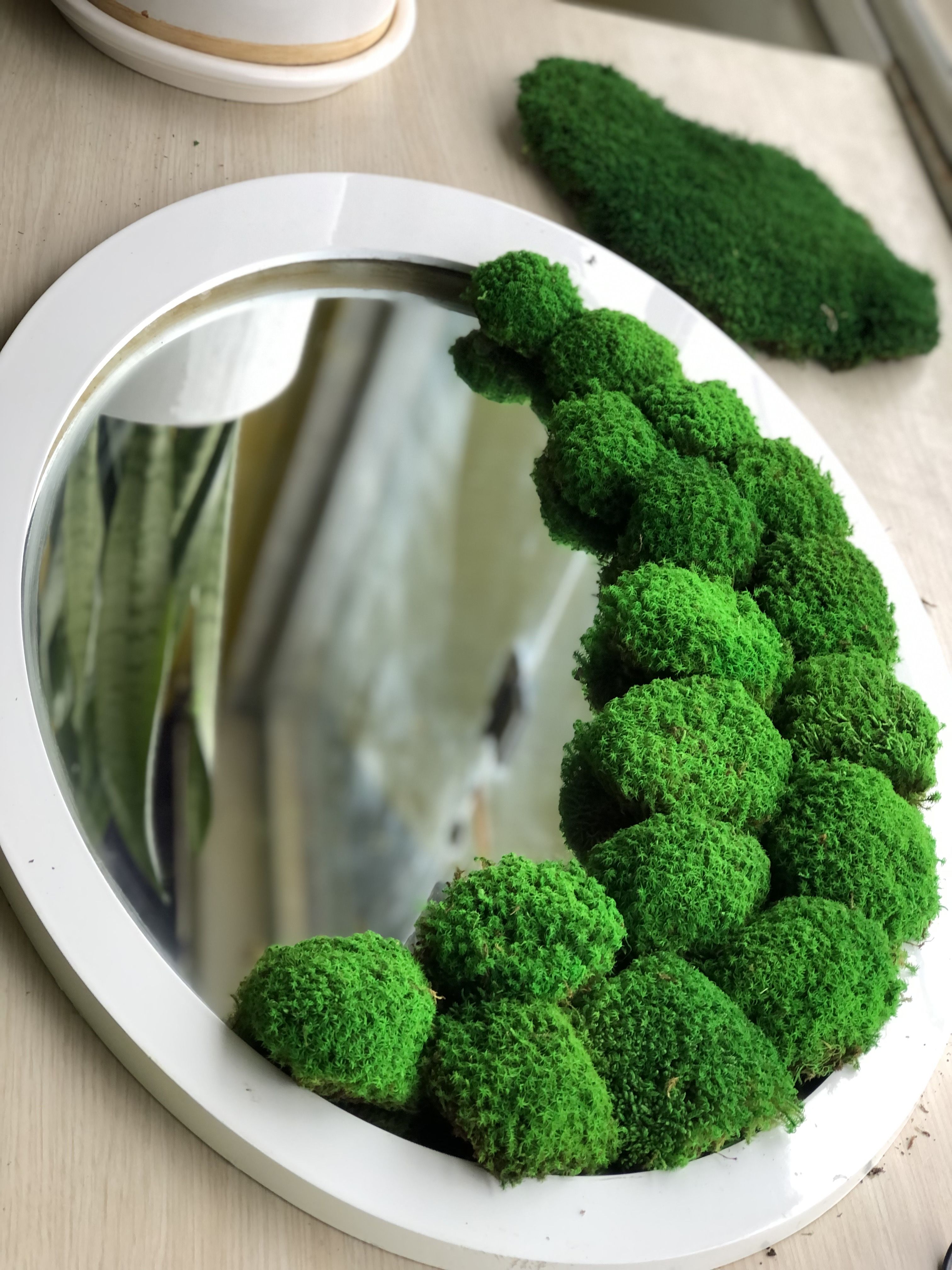 تابلو خزه ای بدون نیاز به آب و نگهداری