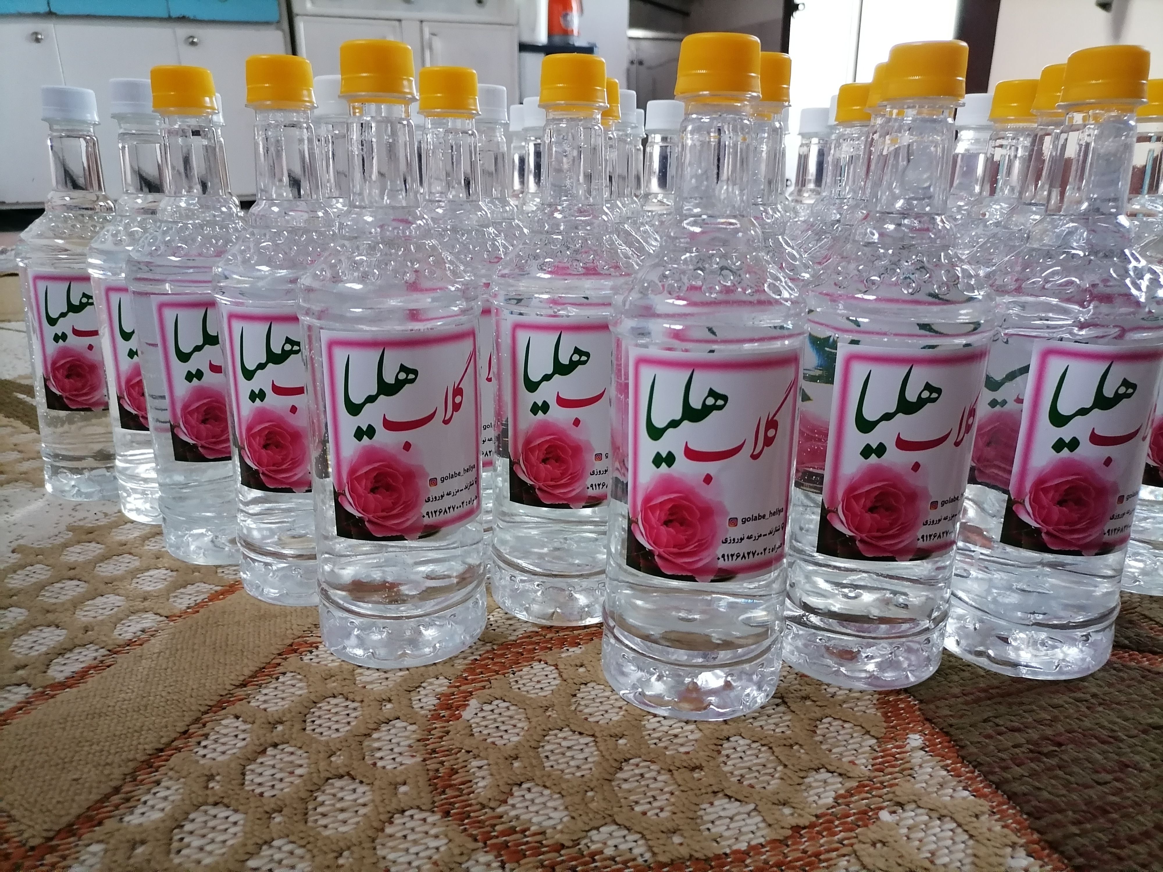 گلاب ارگانیک و سنتی