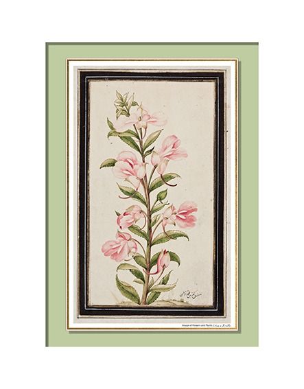 مجموعه کارت های هنرهای اسلامی