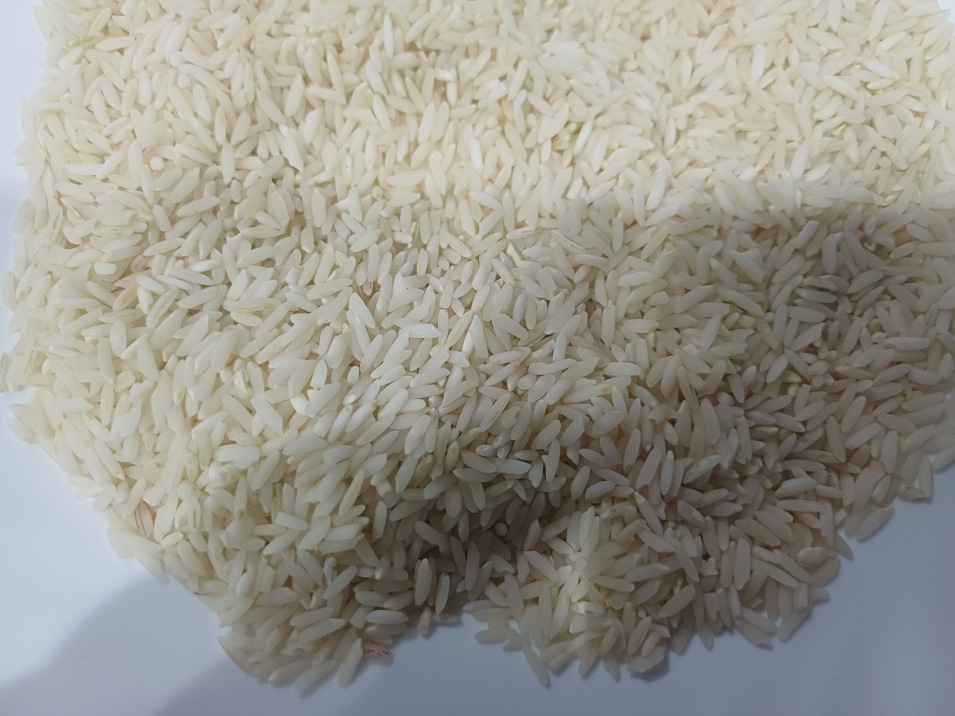 برنج طبیعی ممان 