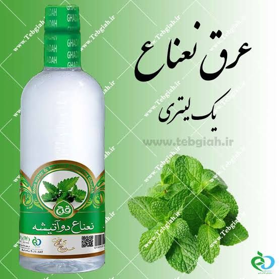 عرق نعنا 