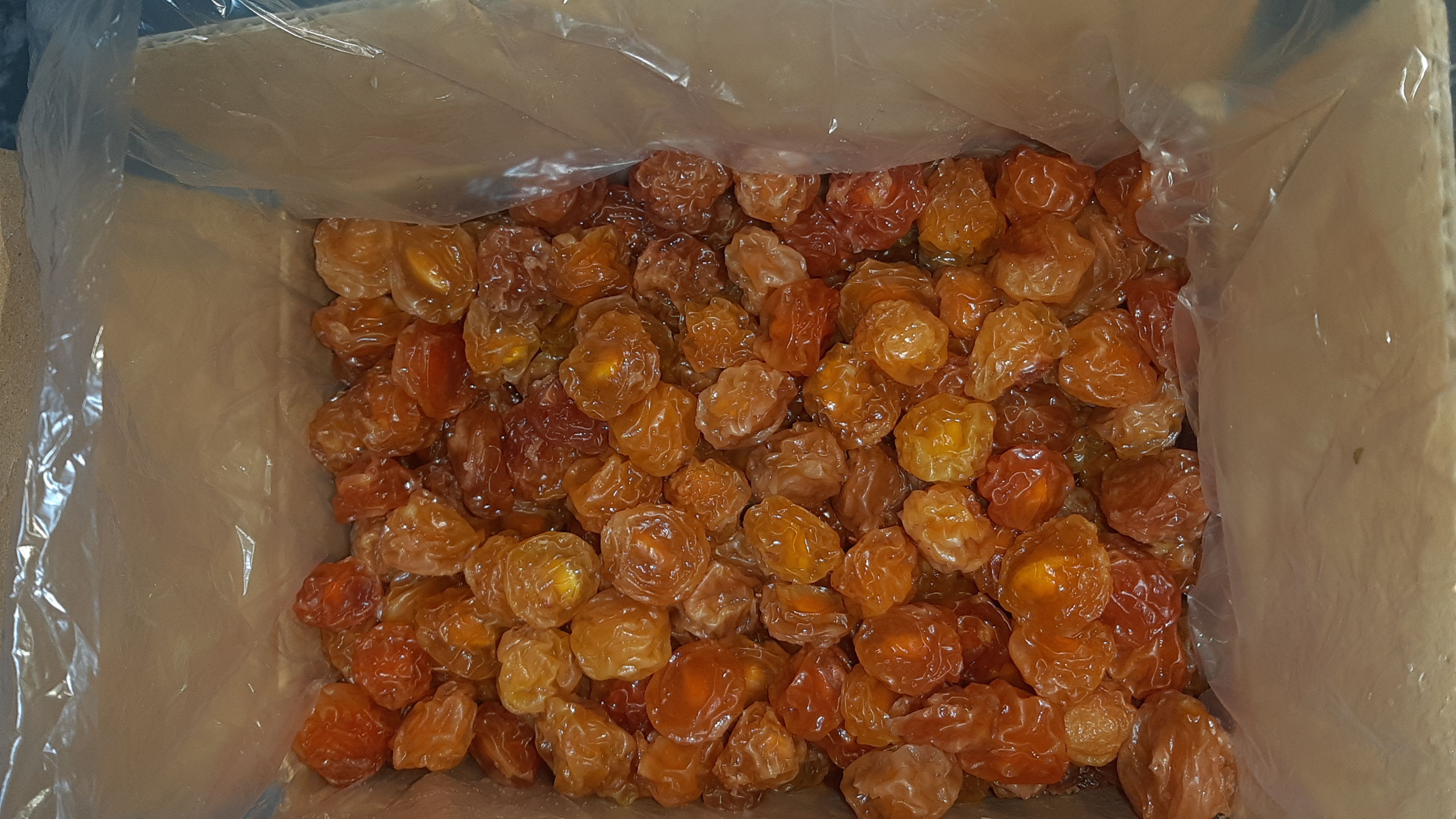 انواع آلوچه مراغه