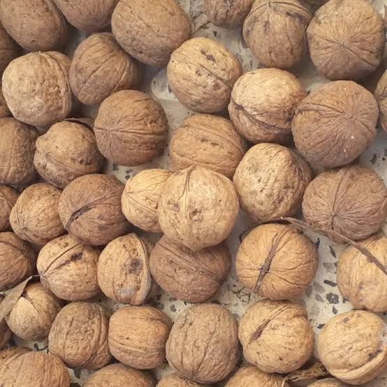 فروش مواد غذایی