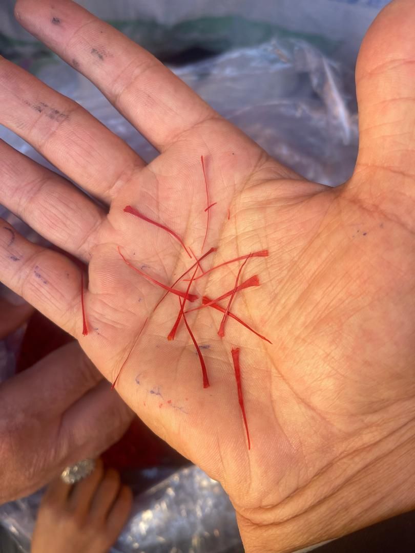 فروش زعفران