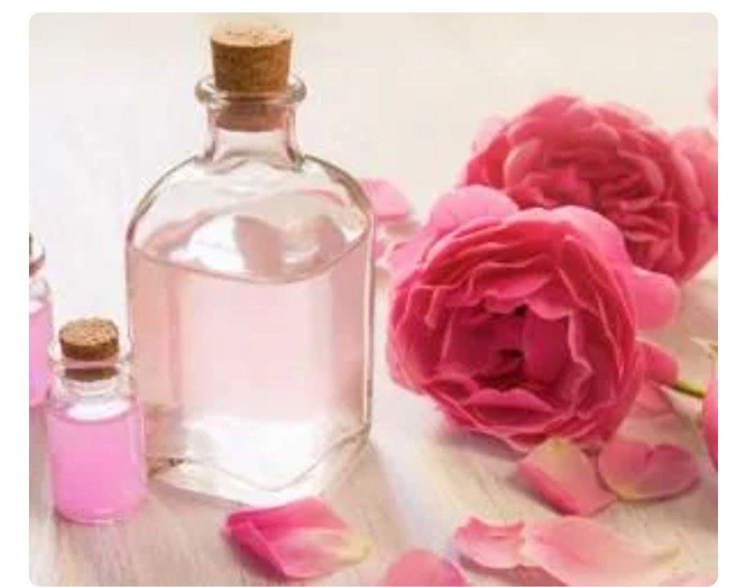گلاب اعلا میمند