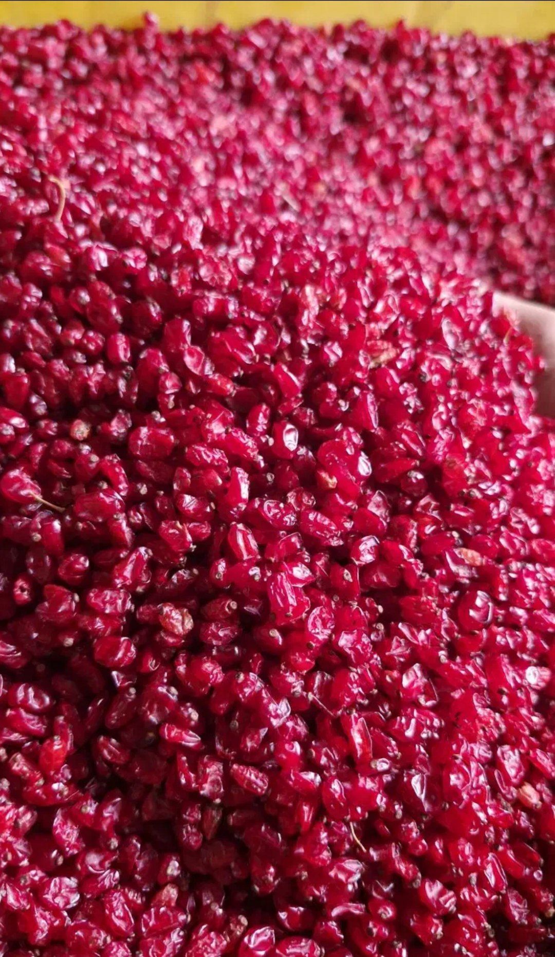 زرشک درجه یک قاینات 