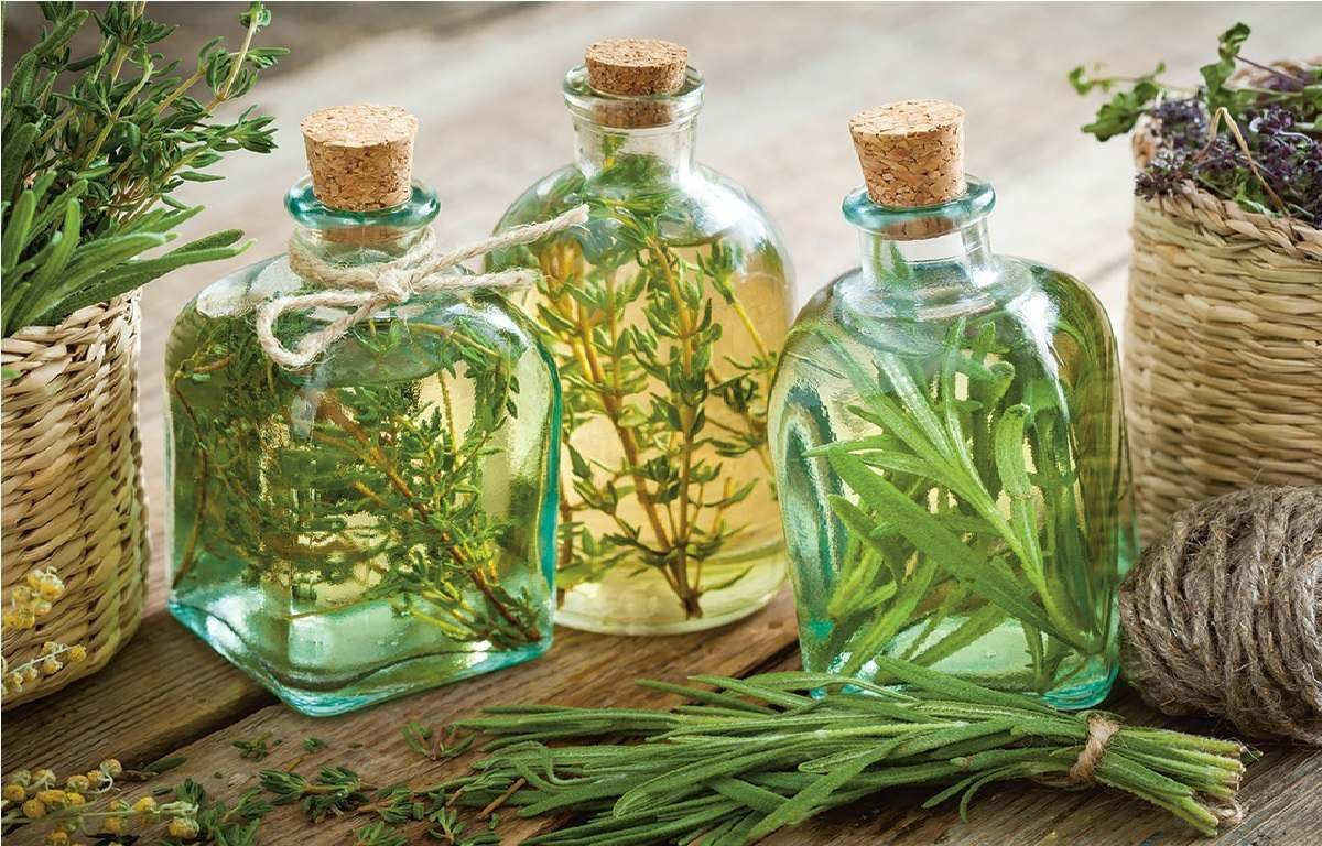 صادرات محصولات غذایی اصیل ایرانی