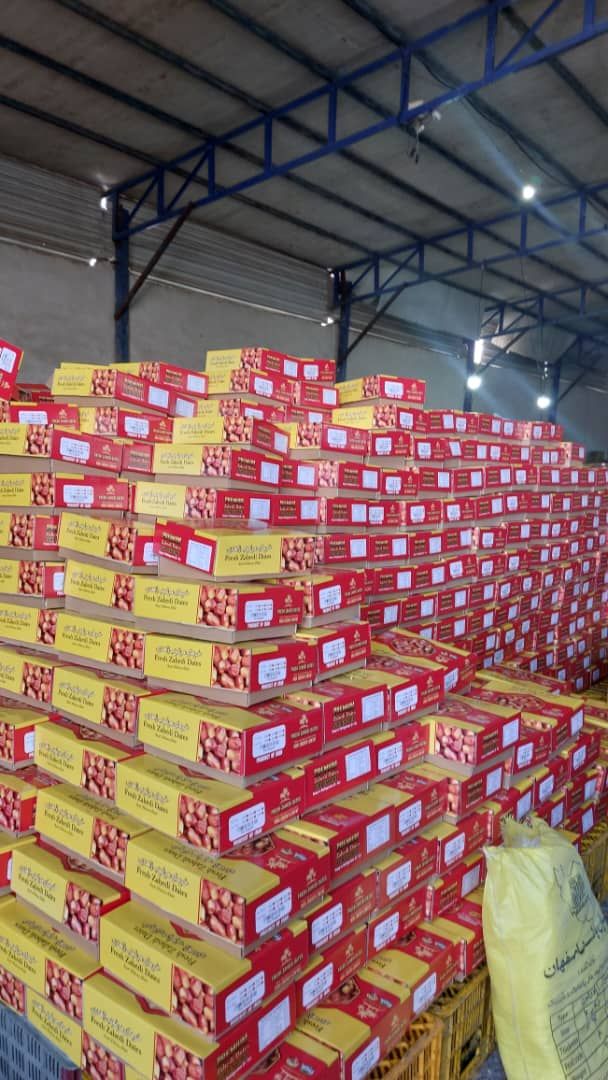 فروش خرمای جهرم