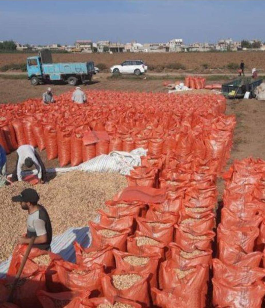 بادام خوشمزه ایرانی
