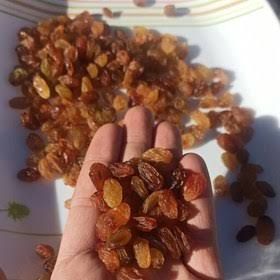 خشکبار