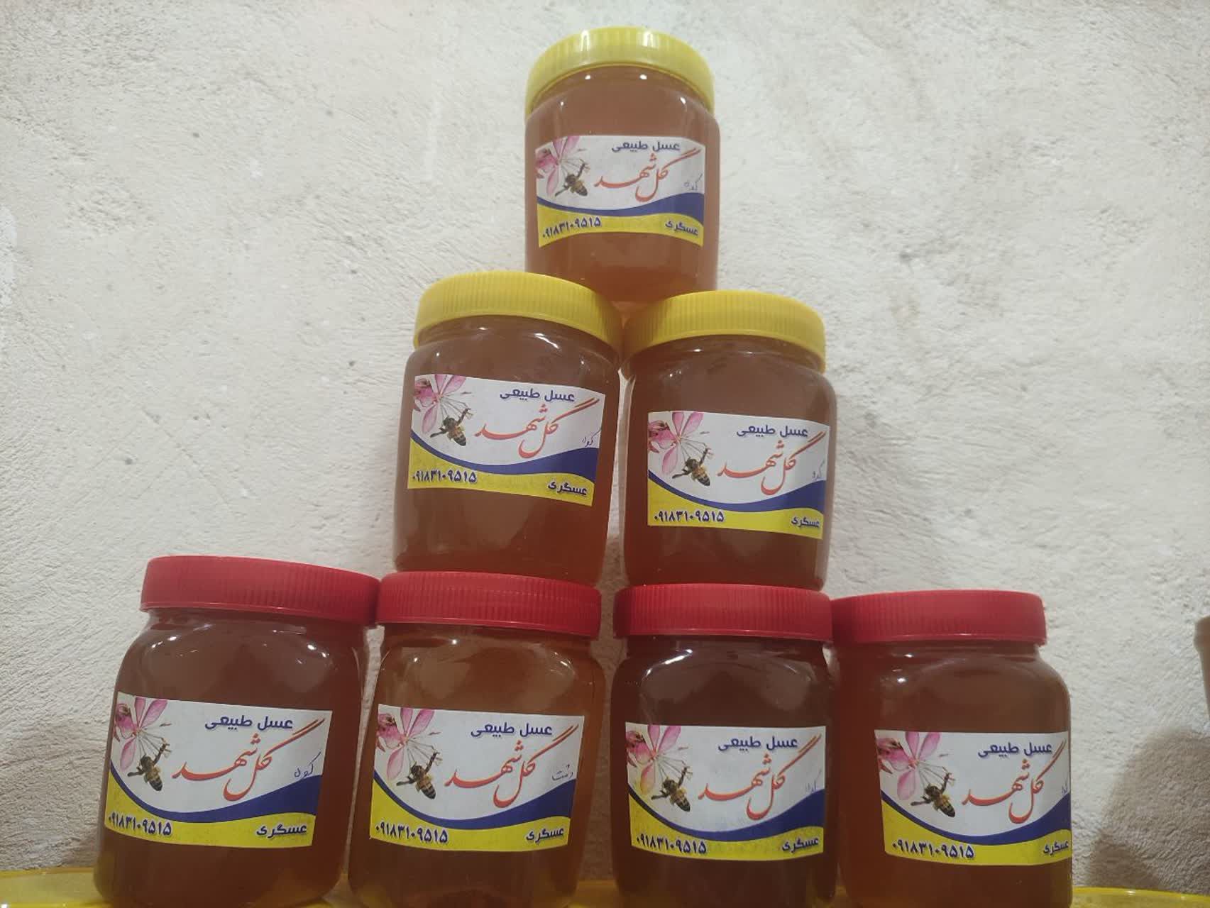 عسل طبیعی گلشهد