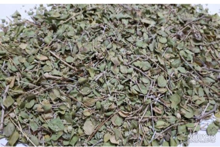 آویشن کوهی