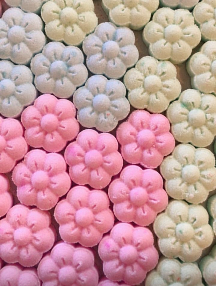 قندونبات گیاهی