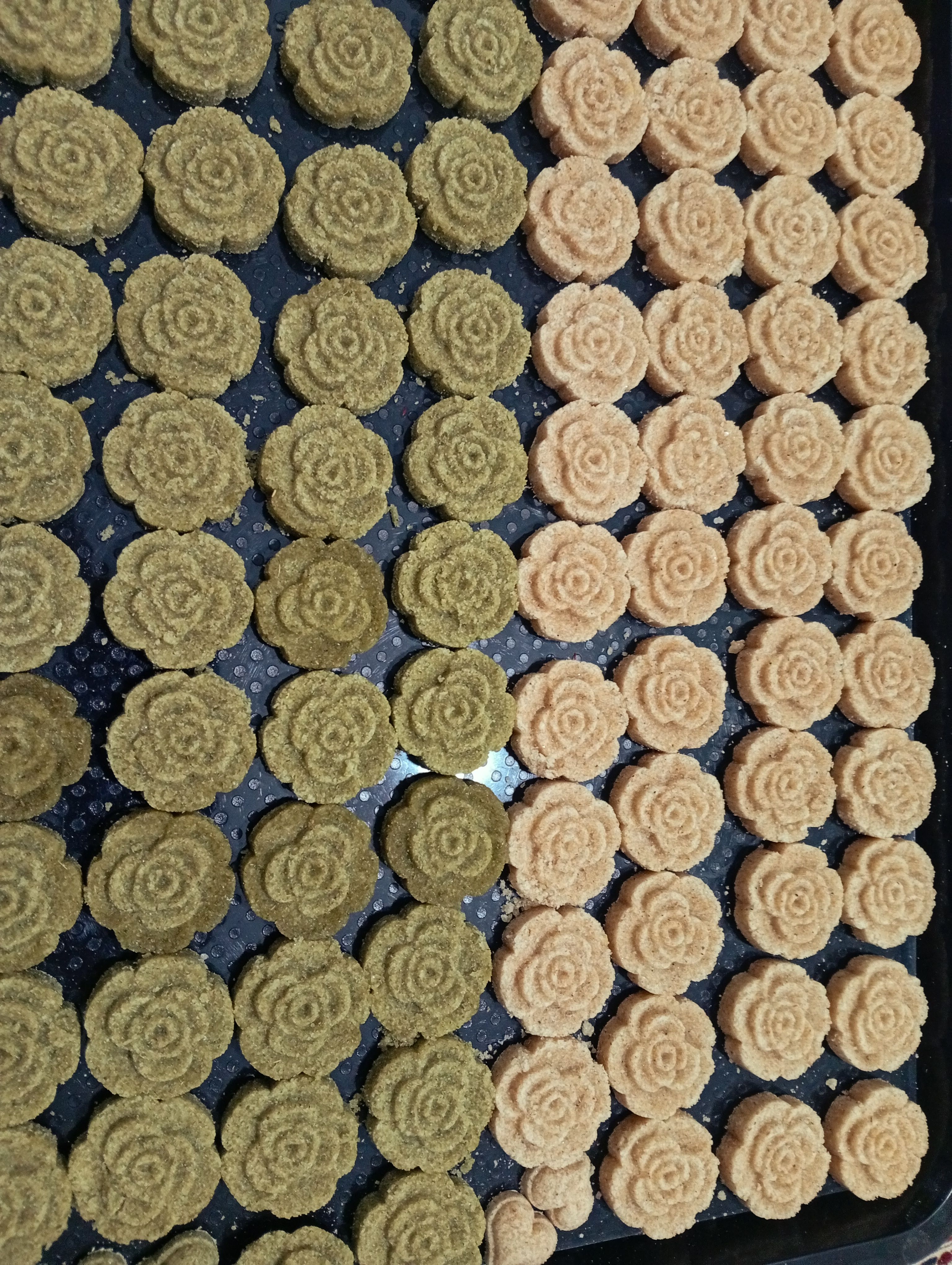 قندونبات گیاهی