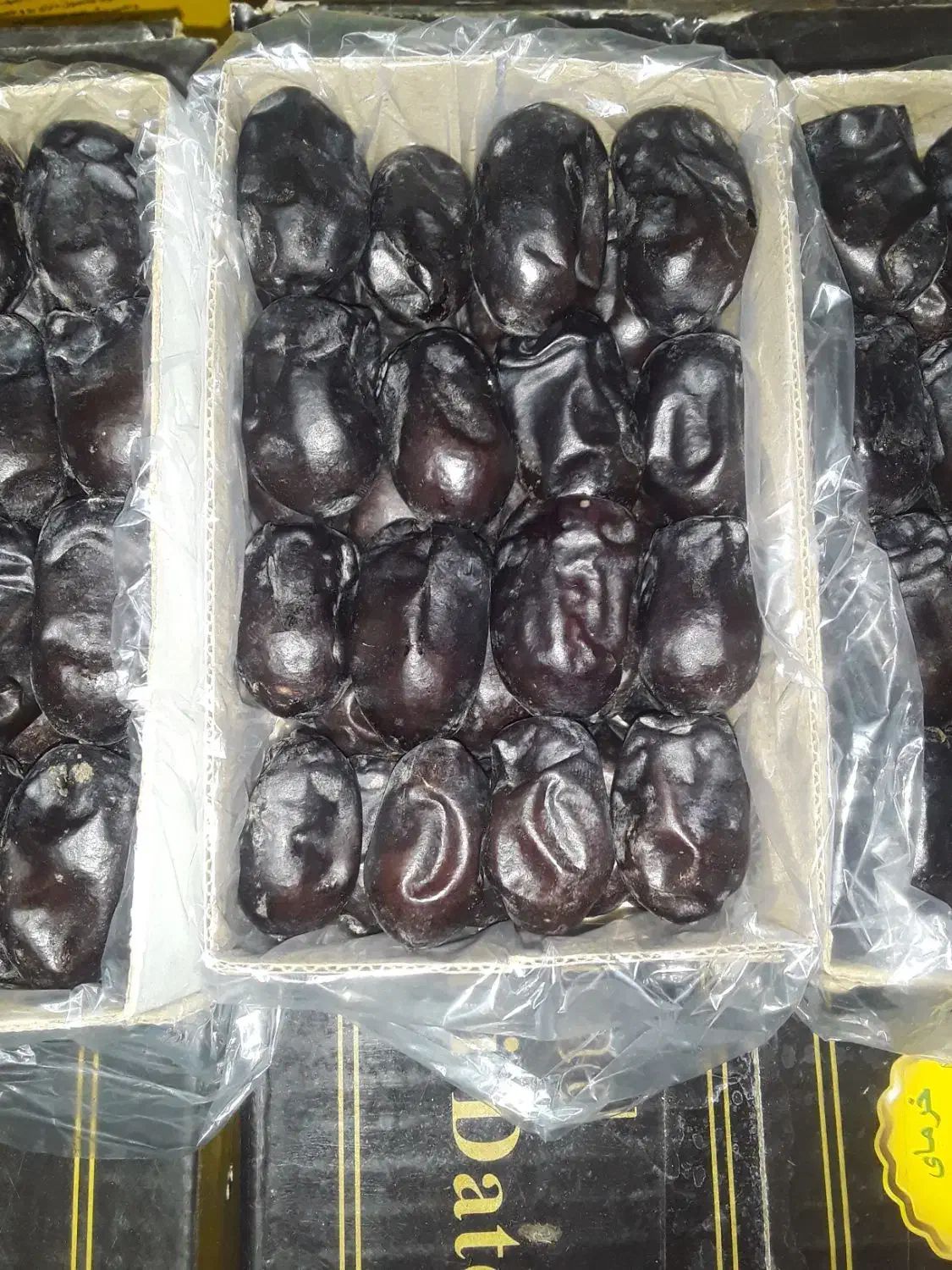 خرما دوردیفی مظافتی بم