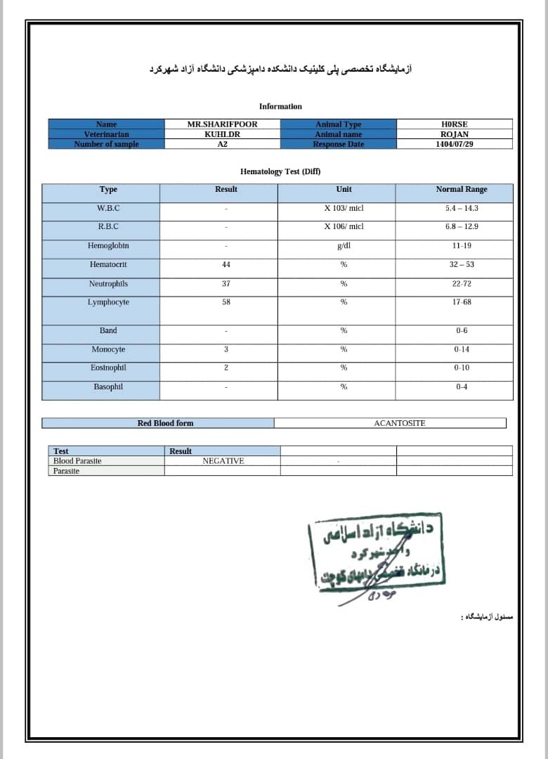 مادیان اصیل و سالم