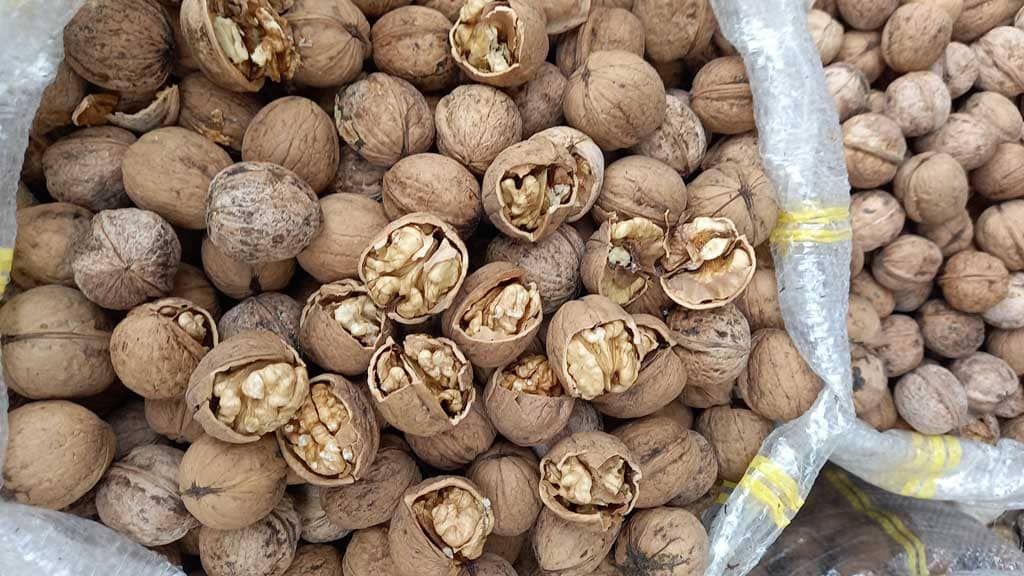 صادرات انواع محصولات کشاورزی ممتاز