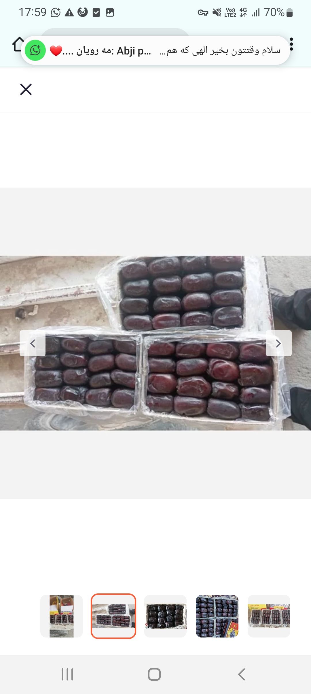 خرمای ایران یک انرژی زای طبیعی