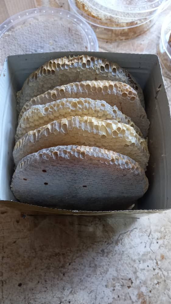 عسل طبیعی بهارک(آذربایجان)