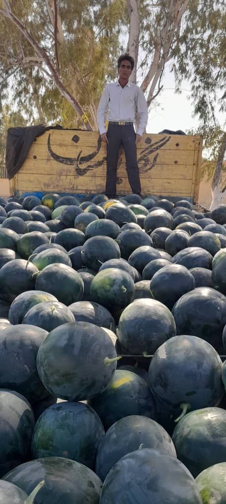 الخظار و الفواکه تره بار