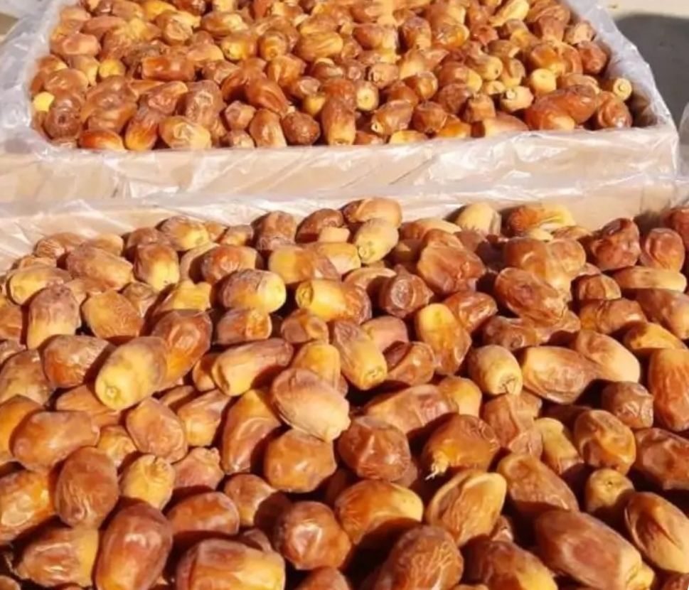 خرما اعلا قصرشیرین