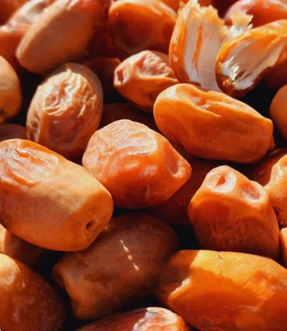 خرما اعلا قصرشیرین