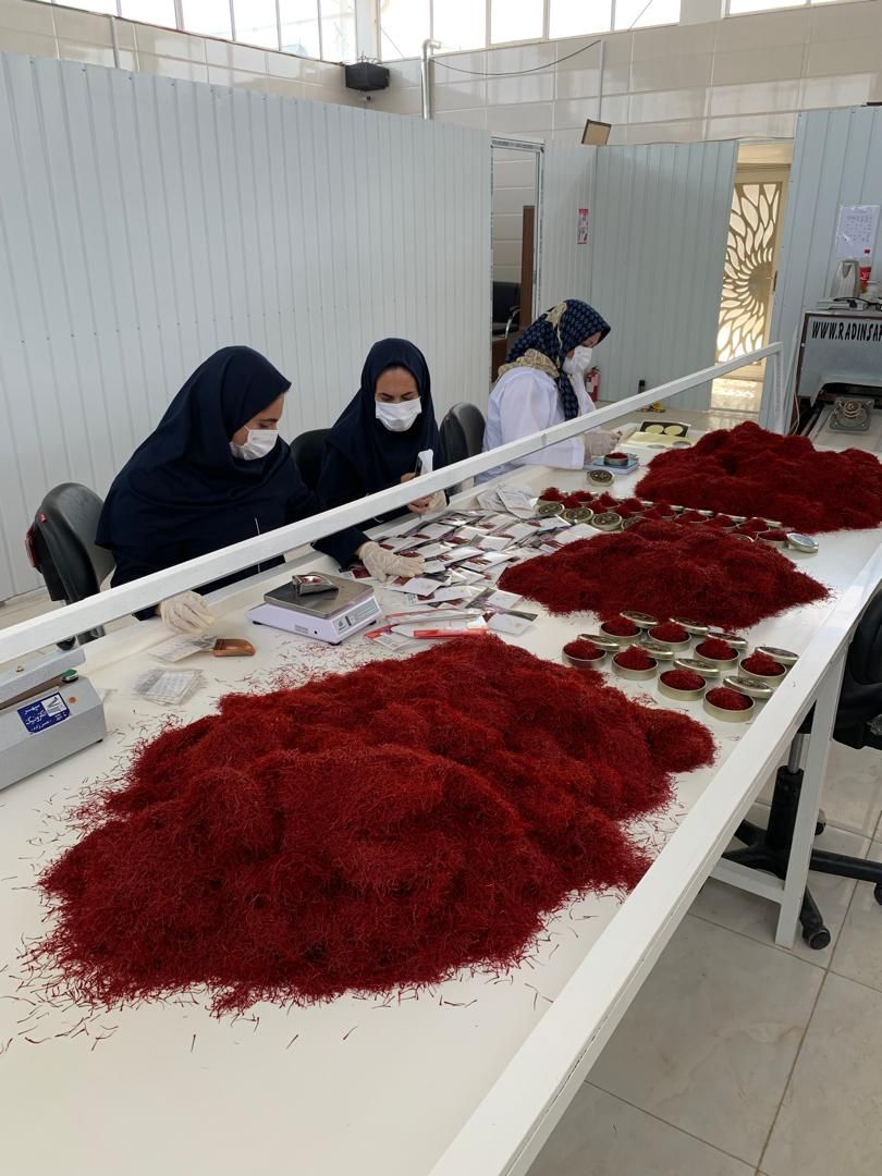 زعفران نگین اتویی