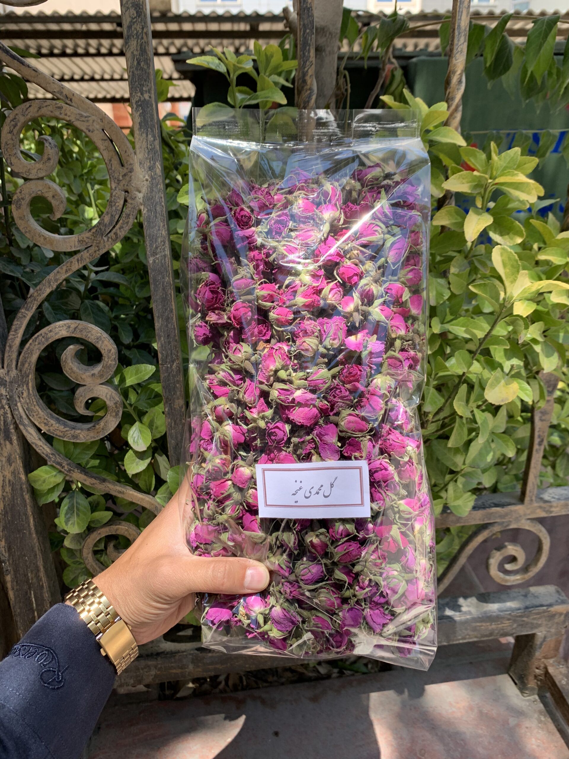 گل محمدی 
