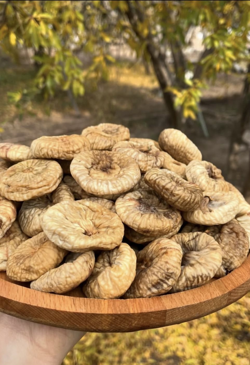 بهترین محصولات گیاهی