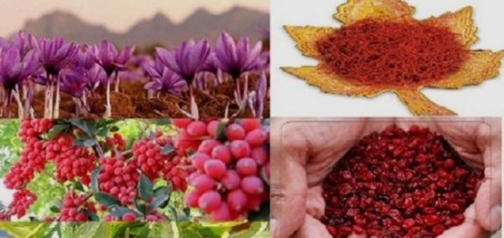زرشک زعفران بادام هل پسته 