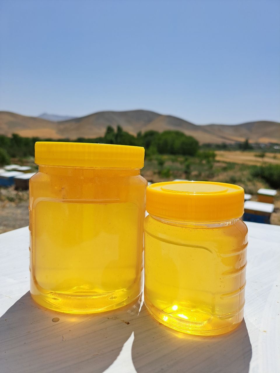 عسل طبیعی