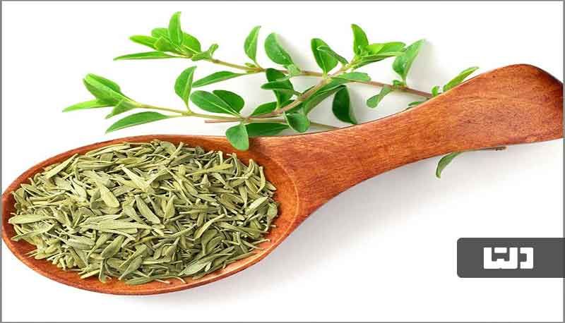 گیاه دارویی 