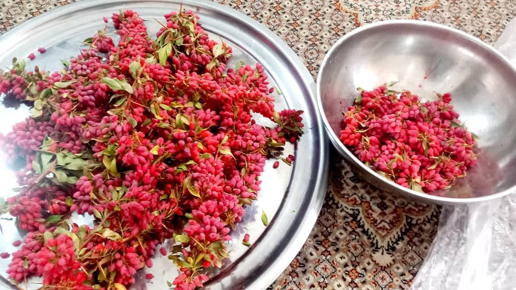 زرشک پفکی درجه یک جدید