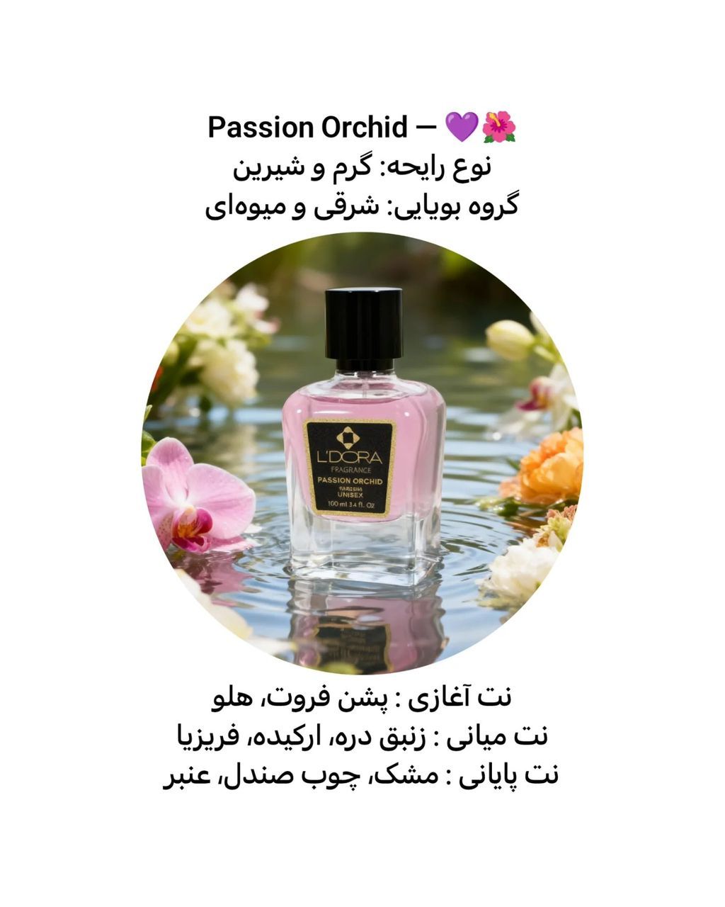 سفیران زیبایی