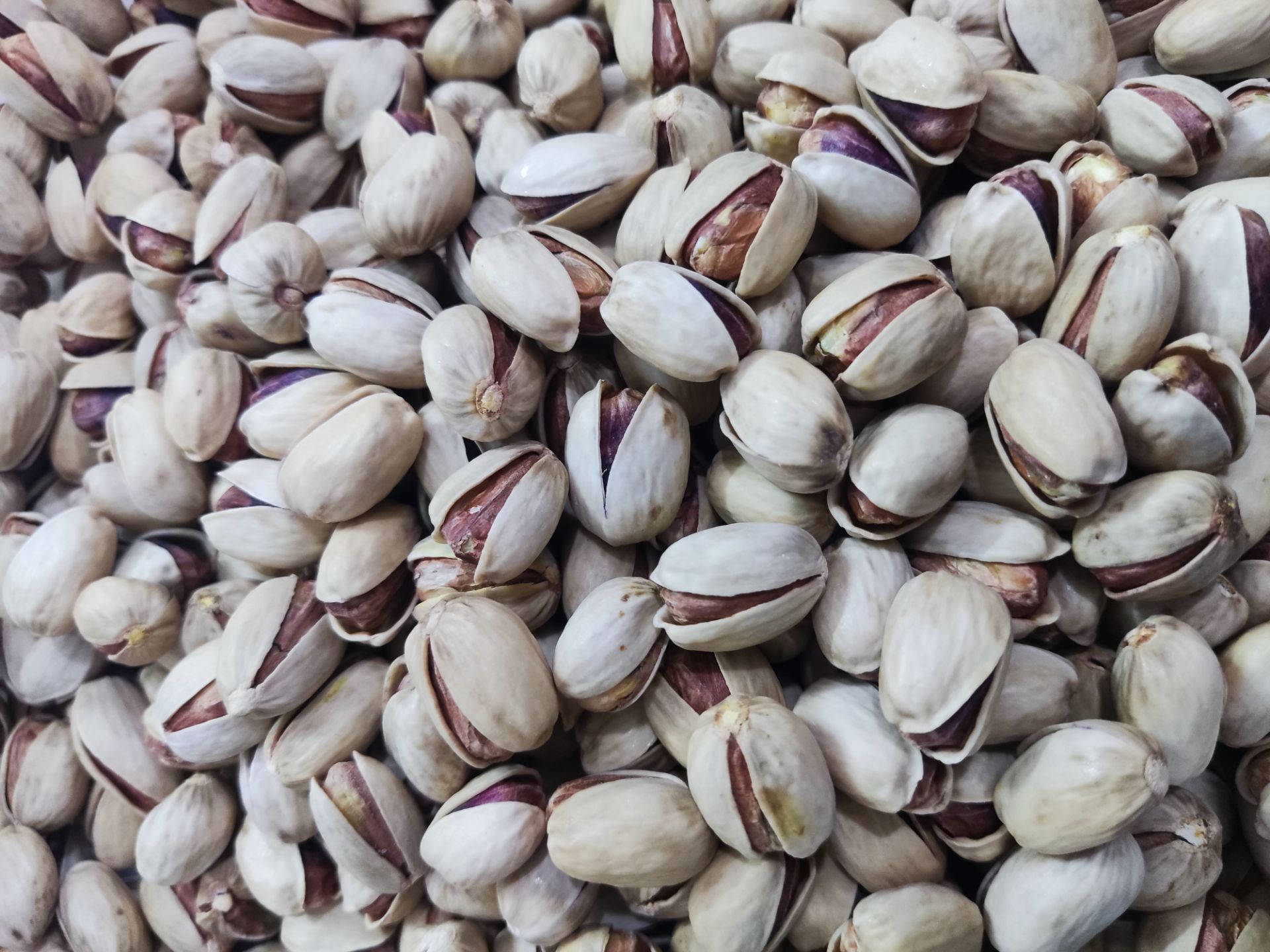 پسته و زعفران  باغ های خراسان جنوبی