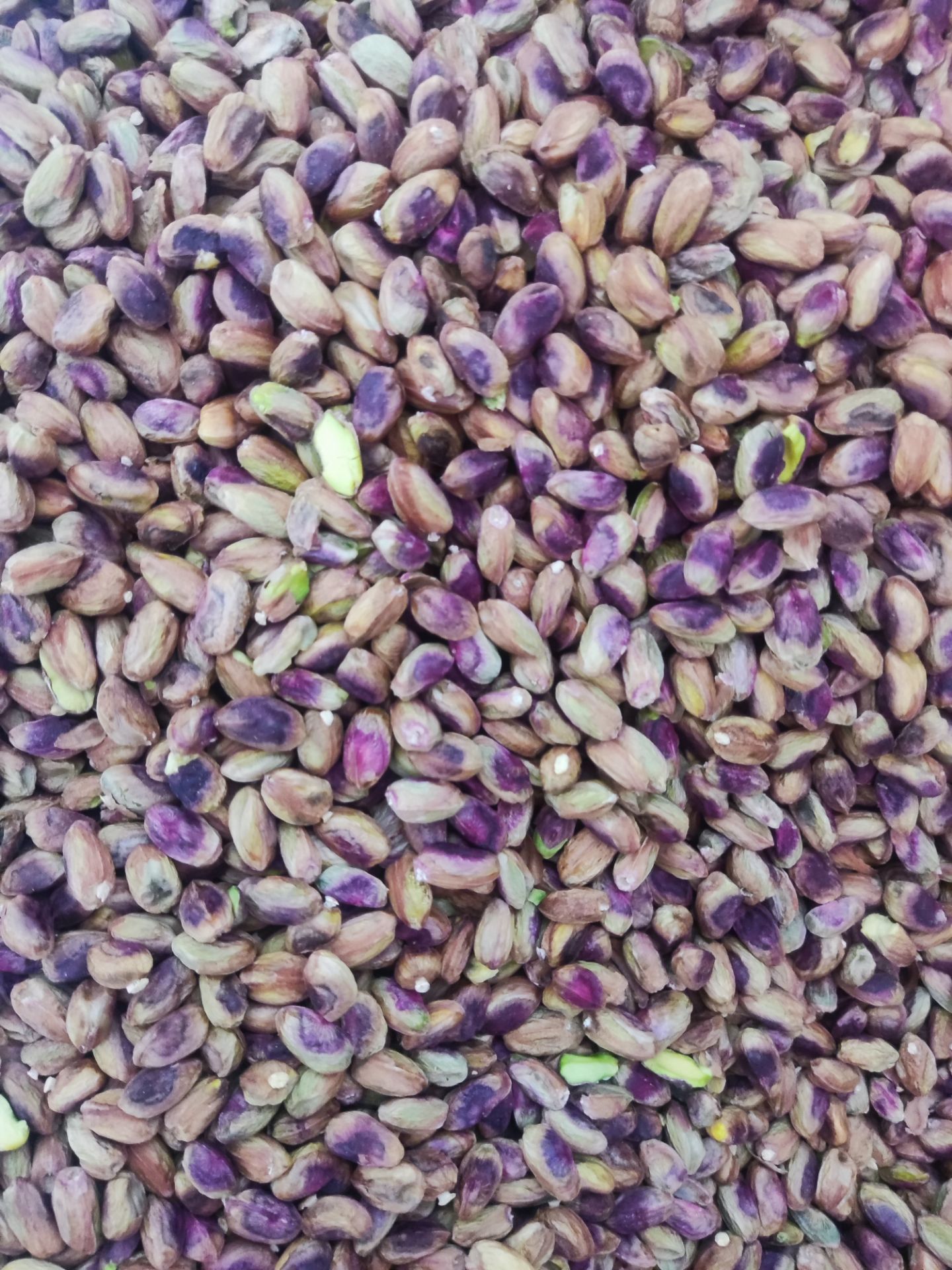 پسته و زعفران  باغ های خراسان جنوبی