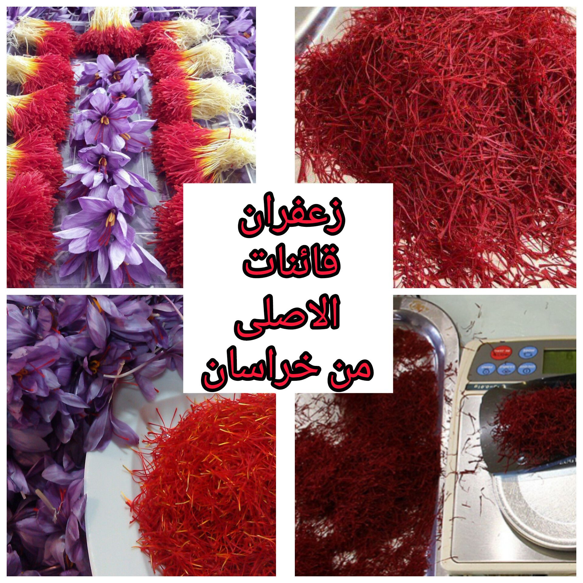 الزعفران و البرباریس و الهیل