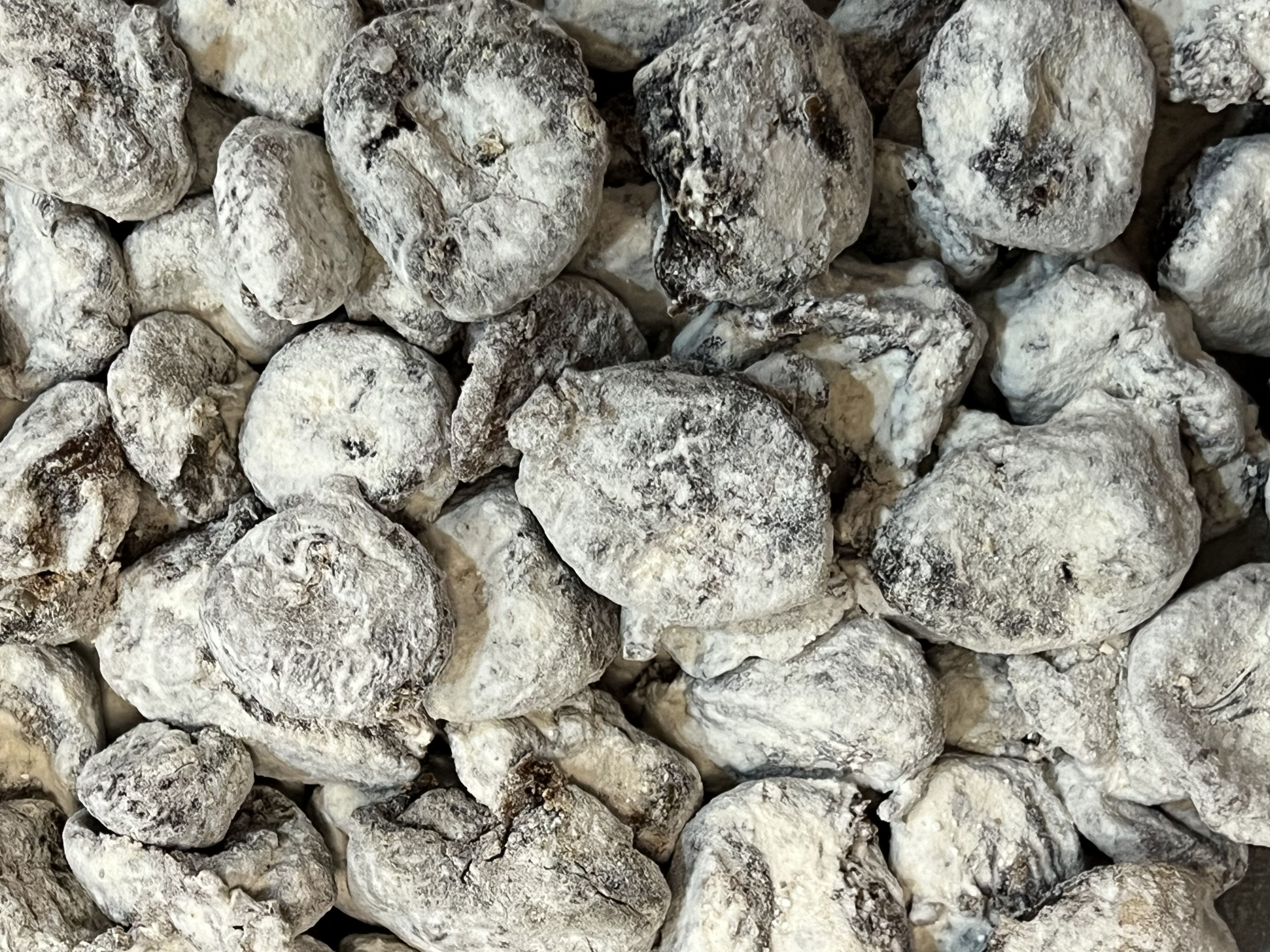 انجیرآردی استهبان 