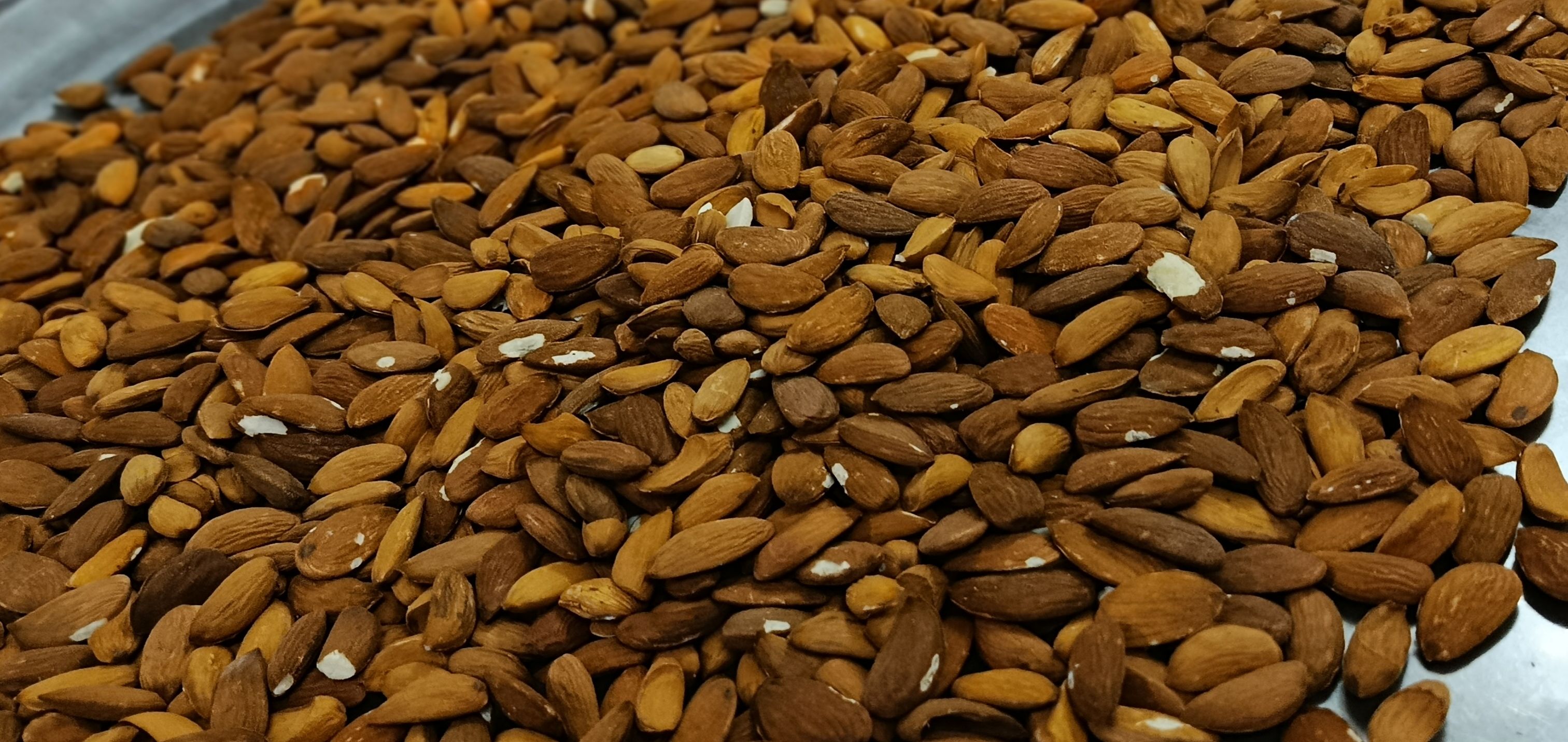 بادام کوهی شیرین 