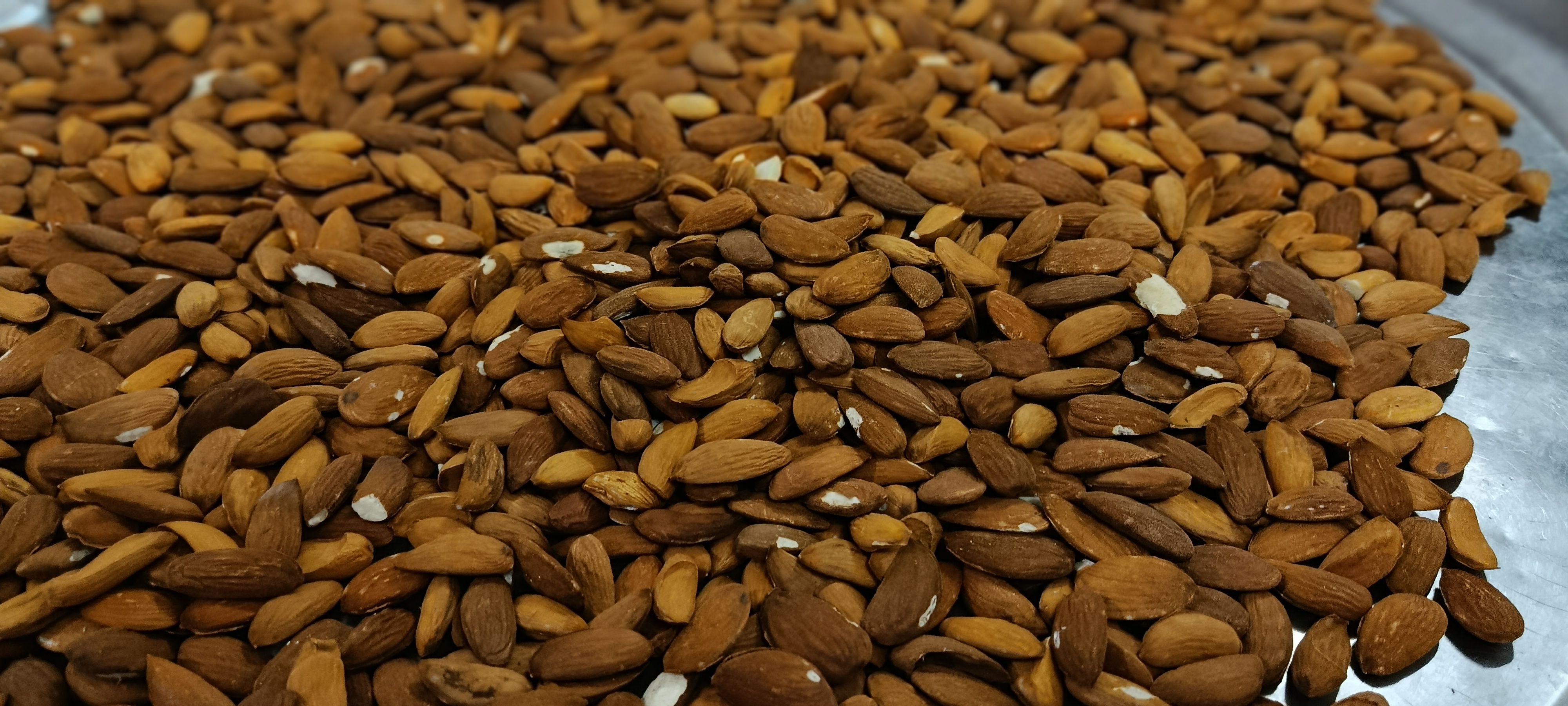 بادام کوهی شیرین 