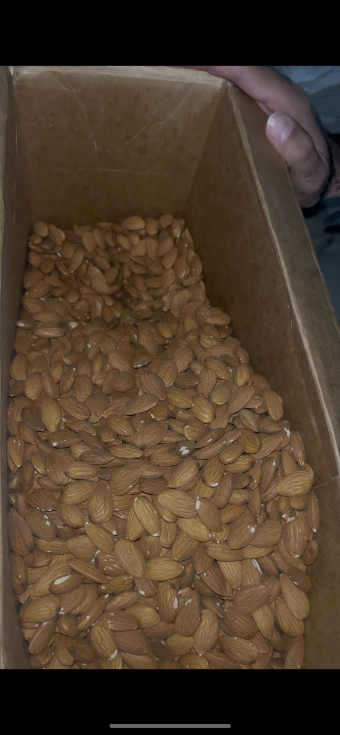 فروش عمده گردو و بادام درختی درجه یک