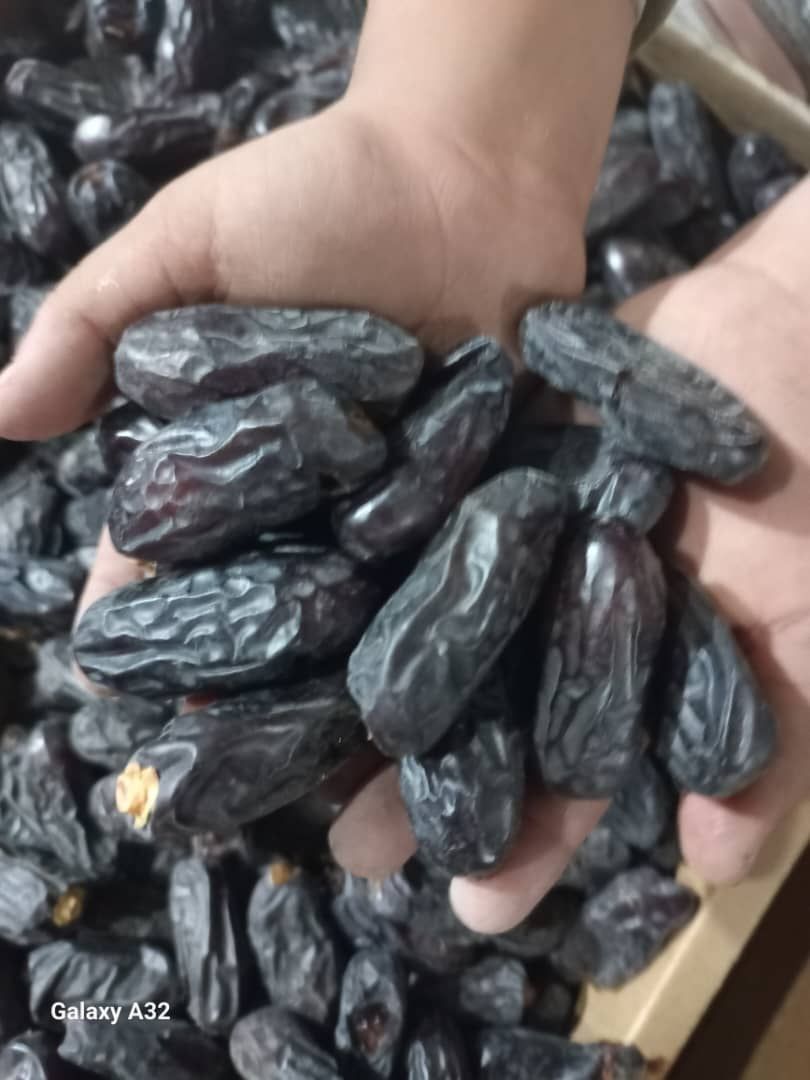 خرما رطب،خرما ربیع