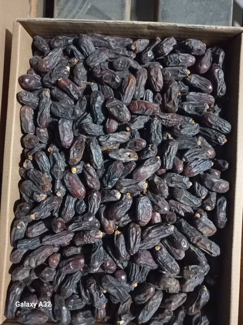 خرما رطب،خرما ربیع