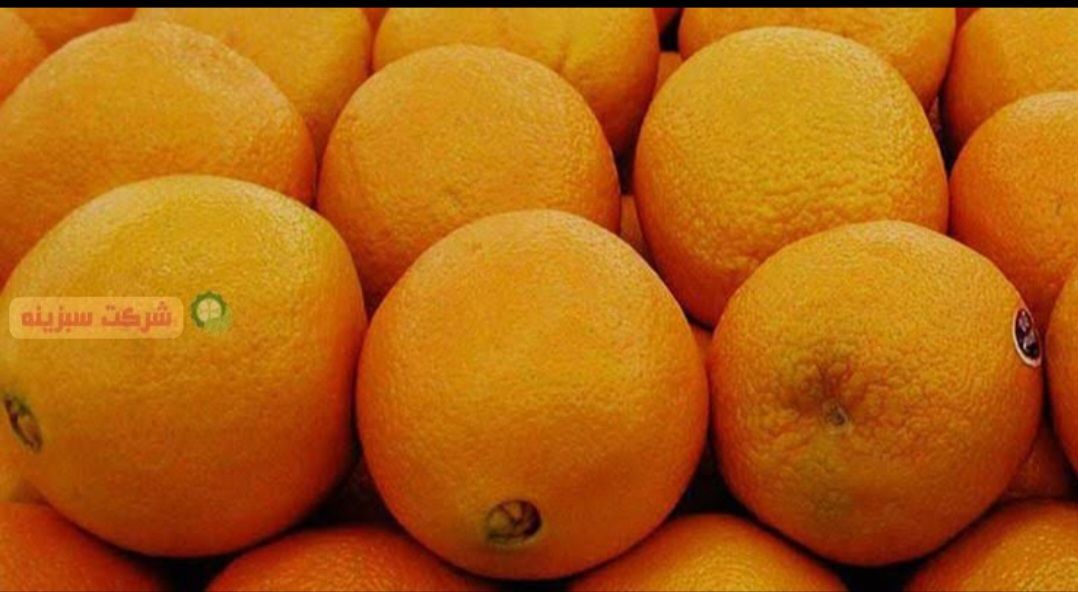 خرما و پرتقال دزفول
