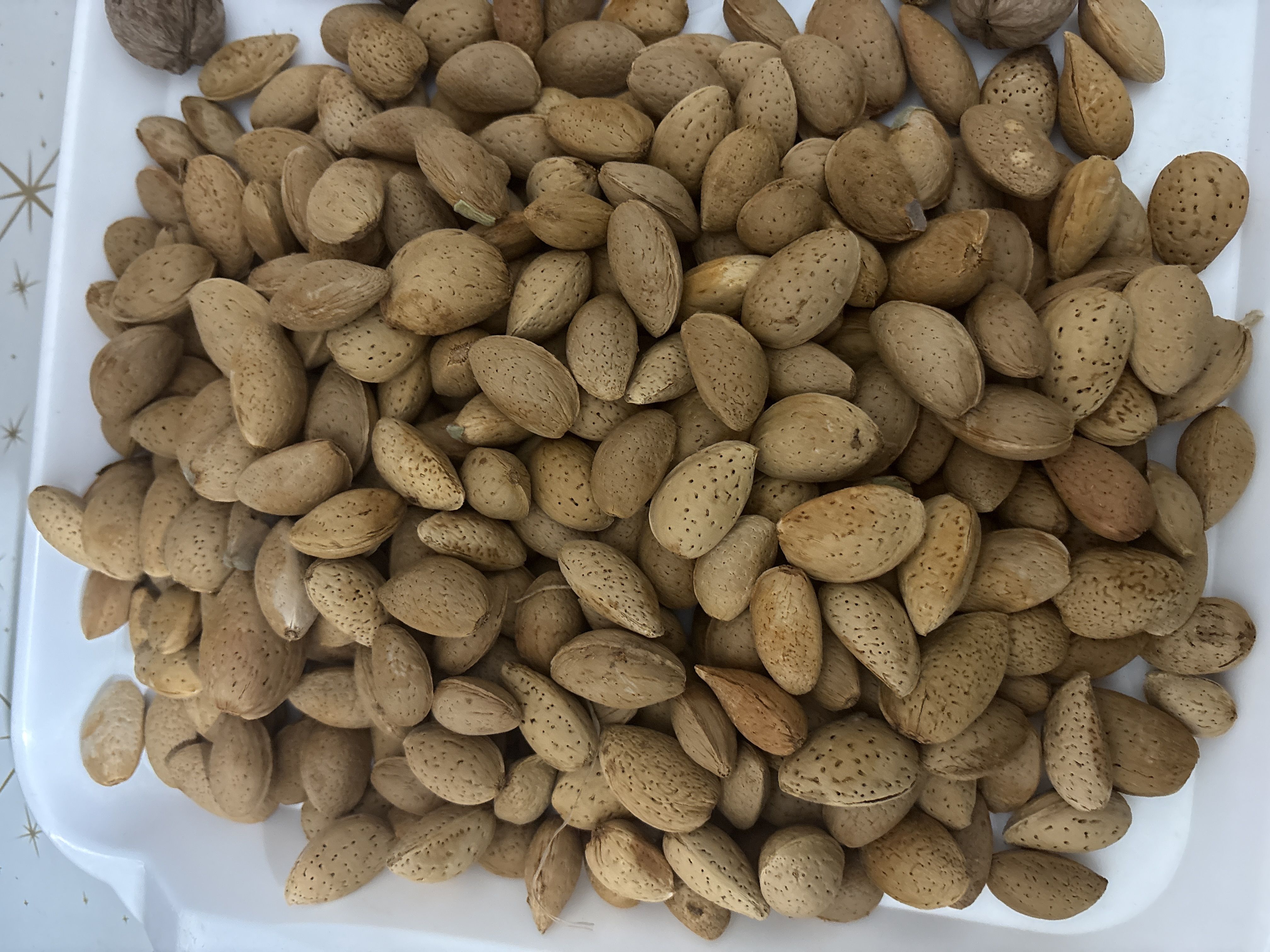 فروش گردو و بادام همدان