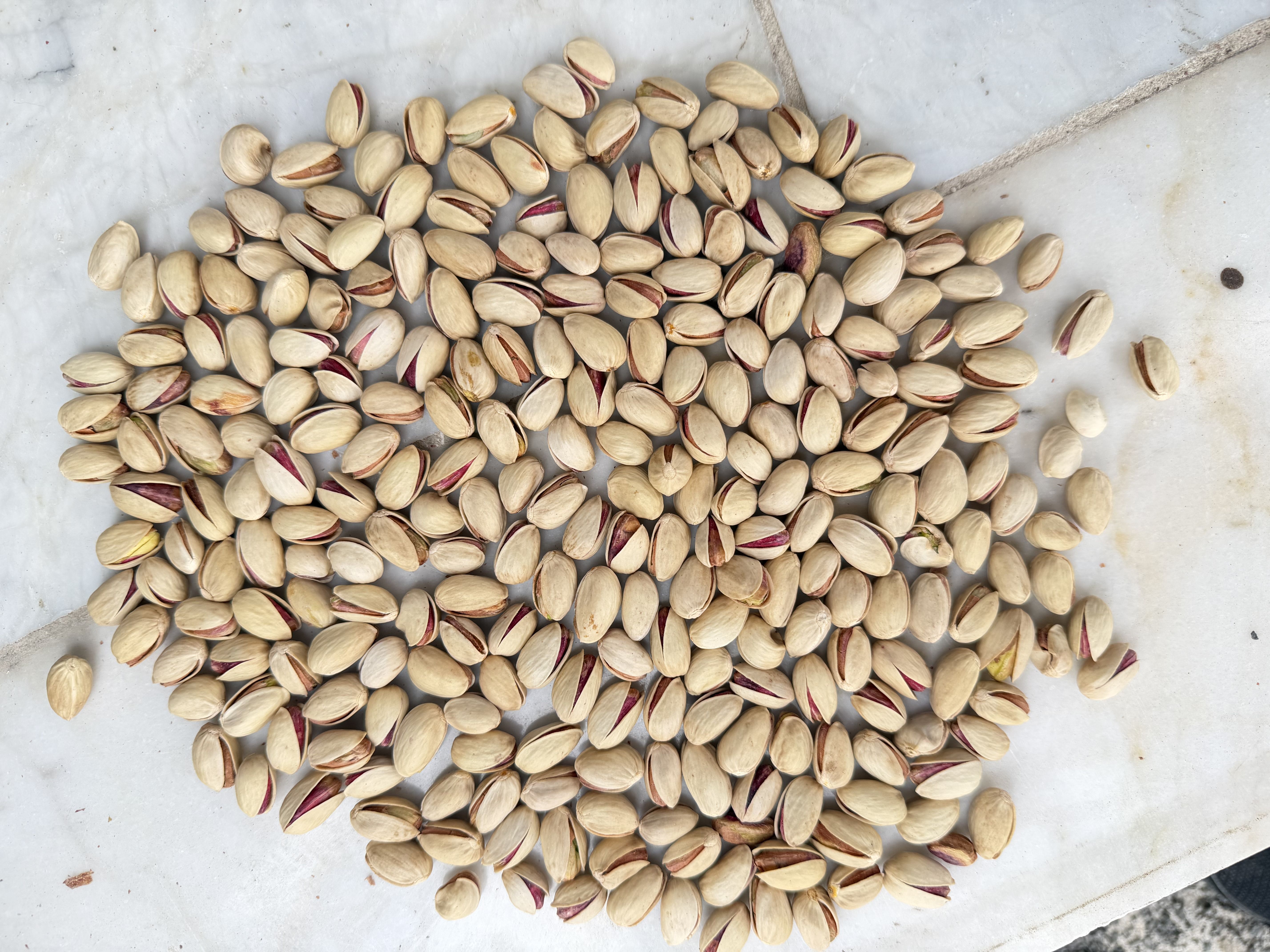 مغز پسته