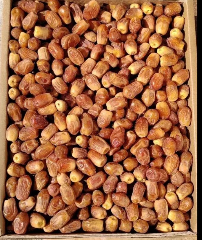 فروش خرمای اعلای جنوب ایران 